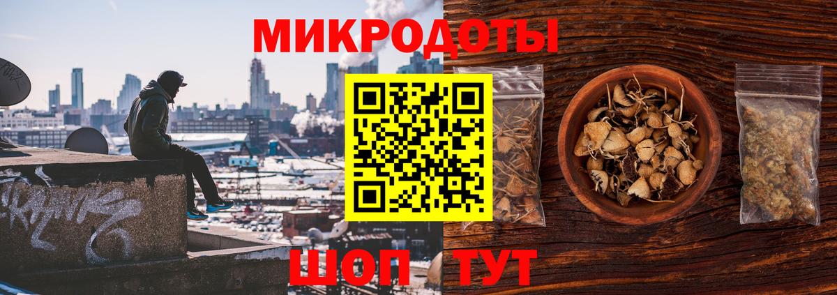 Галлюциногенные грибы Cubensis Черногорск